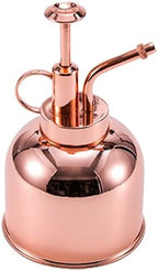 Vintage Succulent Watering Can Bottle with Pump, 300ml Stainless Steel by levemolo