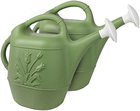 Union Products 63066 2 Gallon Plastic Watering Can, Sage Green, 2-Pack by GameMasterAthletic