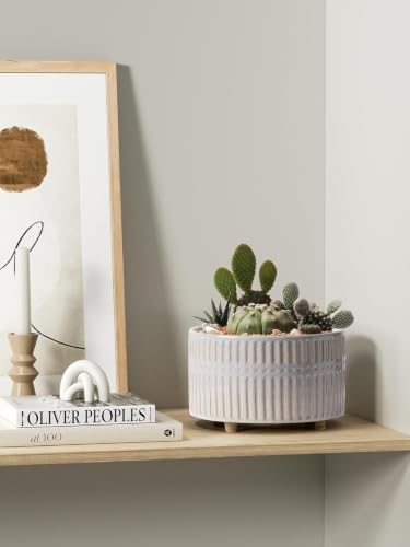 LE TAUCI Succulent Pots, 6.5+8 Inch Ceramic Indoor Plant Pot with Drainage Hole, Shallow Round Succulent Planters, Set of 2, Reactive Glaze Star White - Image 6