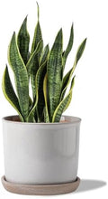 8 Inch Ceramic Plant Pot with Drainage Hole & Separate Saucer by Chubacoo