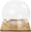 Milisten Glass Micro Landscape Bottle Wood Base for Bedroom Hotel by Milisten