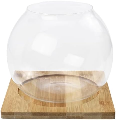 Milisten Glass Micro Landscape Bottle Wood Base for Bedroom Hotel by Milisten