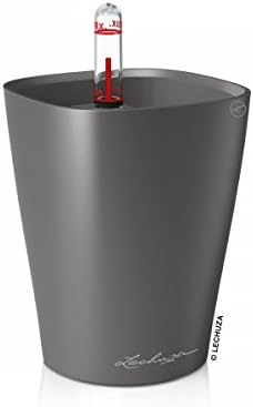 Lechuza MINI-DELTINI Charcoal Metallic, Self-Watering Small Indoor Planter, H5.1 L3.9 W3.9 in by LECHUZA