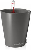 Lechuza MINI-DELTINI Charcoal Metallic, Self-Watering Small Indoor Planter, H5.1 L3.9 W3.9 in by LECHUZA