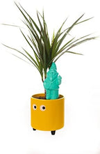 Fisura - Self-watering gnomo. Water dispenser for pots. Watering system for indoor plants with a capacity of 100 millilitres. Material: terracotta. (Mint) - Image 4