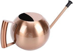 Dpofirs 1000ml Stainless Steel Watering Can | Detachable Long Spout for Indoor Plants, Home Garden & Potted Flowers, Ergonomic Handle (Bronze) by Dpofirs