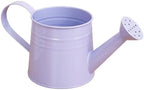 1L Retro Metal Painted Watering Can with Long Spout & Handle Flower Plant - Image 2
