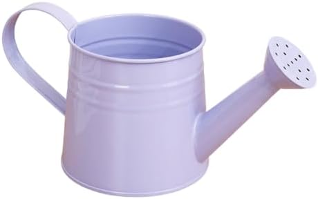 1L Retro Metal Painted Watering Can with Long Spout & Handle Flower Plant - Image 2
