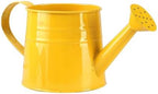 Galvanized Shower Bucket Tinplate Watering Kettle Small Flower Pot Indoor Outdoor Watering Can Garden Container with Handle (E, One Size) - Image 7