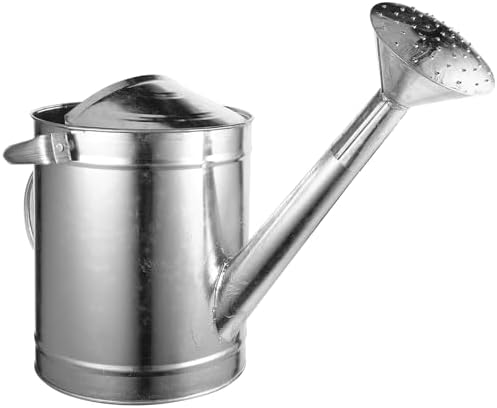 Metal Watering Can for Indoor Plants 5l with Spray Spout and Fixed Handle, Thickened Stainless Steel Watering Pitcher for Houseplants and Garden Use Style by MAGICLULU