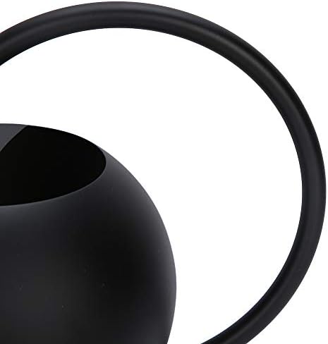 Stainless Steel Watering Can Long Mouth Practical 1L Capacity Garden Watering Pot for Indoor Outdoor Plants Houseplant Flowers Black 12.2x7.1x5.5in - Image 7