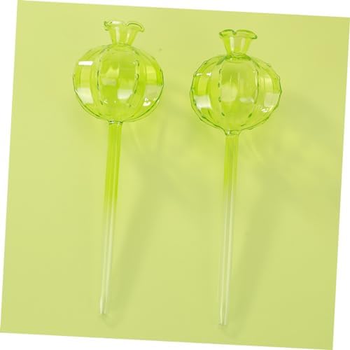 4pcs Cactus Shape Glass Watering Globe for Plants Automatic - Image 6