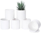 D'vine Dev 6-Pack White Plastic Planters with Saucers, 4.5 in, 74-Z-F-3 by DvineDevPlanterPotsandStand