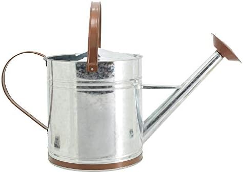 Arcadia Garden Products WC14 Classic Shiny Galvanized Metal Watering Can, Easy-Pour, Indoor and Outdoor, 2.6 gal - Image 3