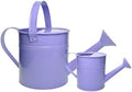 Small Metal Watering Can Set, Pink, 1.2L and 0.23L Garden Cans with Long Spout, Indoor Outdoor Plant Care (Purple) by TAKMA