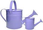 Small Metal Watering Can Set, Pink, 1.2L and 0.23L Garden Cans with Long Spout, Indoor Outdoor Plant Care (Purple) by TAKMA
