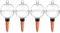 26oz EX-Large Self Watering Globes with Cover (4 PCS) by Unknown