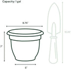 Bloem Ariana 8" Plastic Self-Watering Planter, Charleston Green, 4-Pack - Image 3