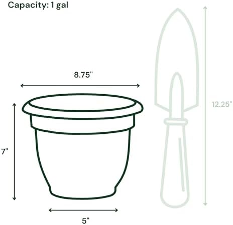 Bloem Ariana 8" Plastic Self-Watering Planter, Dusty Rose, 4-Pack - Image 3