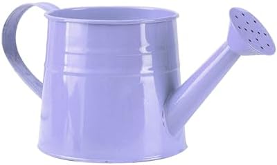 Metal Watering Can for Indoor Outdoor Garden Modern Minimalist Design with Detachable Sprinkler Head Ergonomic Comfort Grip Handle Efficient Irrigation Tool for Flower Lovers and (D, 24.5X11.5X11CM) - Image 3