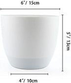 T4U 6 Inch Plastic Self Watering Planter with Water Level Indicator White Set of 4, Modern Decorative Planter Pot for All House Plants, Flowers, Herbs, African Violets, Succulents - Image 5