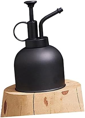 Stainless Steel Watering Pot for Indoor Plants, Vintage Black - Image 5