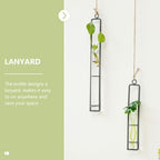 Wall Hanging Planter Xmas Glass Tube Planter with Iron Frame 3pcs - Image 4