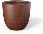 Kante Large Round Bowl Rusty Concrete Planter 18" Dia, Outdoor by Unknown
