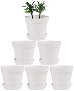Terra Cotta Pots with Saucer- 6-Pack Large Terracotta Pot Clay Pots 5.5'' Clay Ceramic Pottery Planter Cactus Flower Pots Succulent Pot with Drainage Hole- for Plants,Crafts terra cotta planter(White) by Yishang