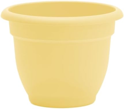 Bloem Ariana 10" Plastic Self-Watering Planter, Daffodil, 4-Pack - Image 7