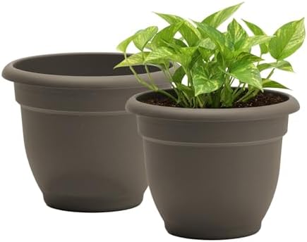 Bloem Ariana 20" Plastic Self-Watering Planter, Peppercorn, 2-Pack by Bloem