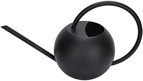 1L Stainless Steel Watering Can with Long Spout for Indoor Plants - Image 3