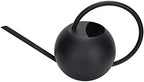 1L Stainless Steel Watering Can with Long Spout for Indoor Plants - Image 3