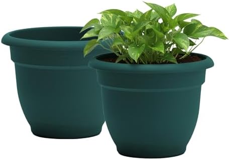 Bloem Ariana 16" Plastic Self-Watering Planter, Charleston Green, 2-Pack by Bloem