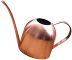Stainless Steel Long Spout Watering Pot 500ml for Flowers by DOITOOL