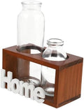 Desktop Glass Vase for Hydroponics Water Plant Holder Home Adornment Hydroponic Bottle by VINTORKY