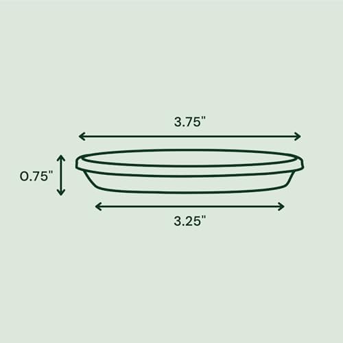 Bloem Terra Plastic Saucer Tray for 4" Terra Planters, Terra Cotta, 10-Pack - Image 2