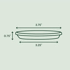 Bloem Terra Plastic Saucer Tray for 4" Terra Planters, Terra Cotta, 10-Pack - Image 2