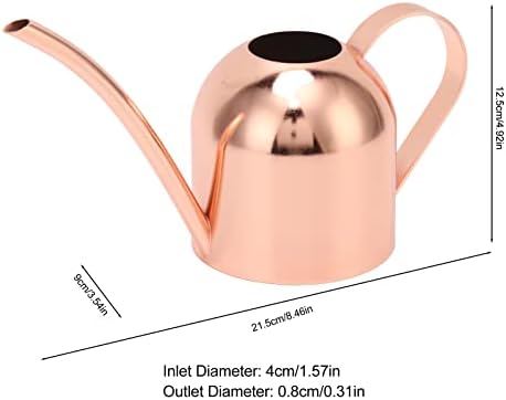 Indoor Outdoor Stainless Steel Watering Cans, Watering Can Metal with Long Spout for House Plants Long Spout Water Can for Succulent Bonsai Garden Flower - Image 2