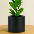 Fox & Fern Large Planter for Indoor or Outdoor, Black Matte, 8 Inch by FoxFern