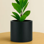 Fox & Fern Large Planter for Indoor or Outdoor, Black Matte, 8 Inch by FoxFern