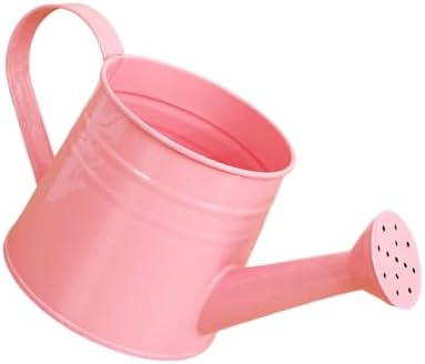 1L Retro Metal Painted Watering Can with Long Spout & Handle - Image 2