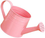 1L Retro Metal Painted Watering Can with Long Spout & Handle - Image 2