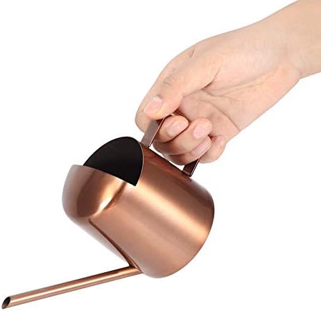 Watering Can 300ml Stainless Steel Long Spout Indoor - Image 6