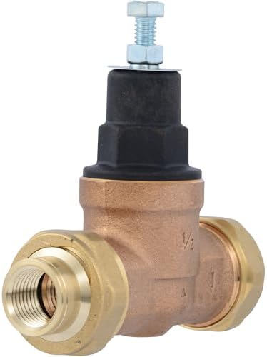 Cash Acme EB45 Pressure Regulating Valve, Double Union, 1/2 Inch NPT Female, Poly Top, 60 PSI, PVA08P-DUTH-60 by CashAcme