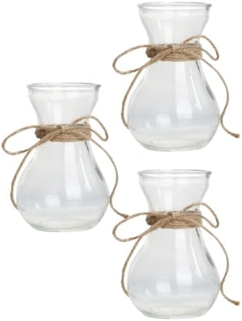 3pcs Glass Vase for Hydroponic Plants, Decorative Flower Display Xmas by WESIEVYA
