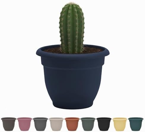 Bloem Ariana 12" Navy Round Self Watering Planter Pot - Rolled Rim Plastic Resin Indoor or Outdoor Gardening Planter with Drainage Holes, Made in USA by Bloem