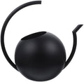 Stainless Steel Watering Can with Thin Spout, 1l Black by SEWACC