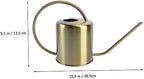BESPORTBLE Stainless Steel Kettle Long Spout Garden Watering Can Plant Watering Kettle for - Image 2