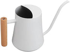 WALFRONT Watering Can Stainless Steel Watering Can, 1000ml Plant with - Image 2